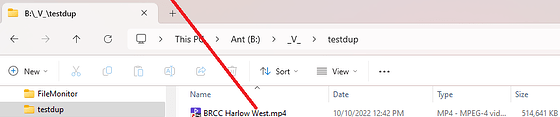 RenameFileViaTitle_AfterSaved_InExplorer