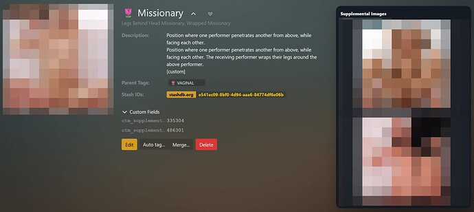 CustomTagsManagerSupplementalImagesPreview